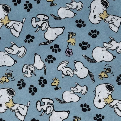 Snoopy and Woodstock #2 Design Fabric Pattern